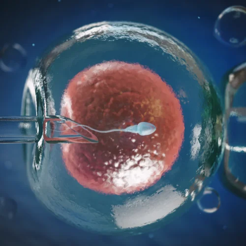 ما هي عملية أطفال الأنابيب وكيف تتم خطوة بخطوة؟